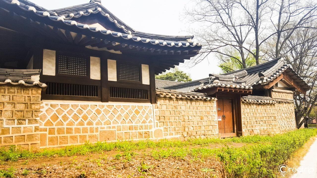 成均馆大学校园一角，红枫映衬的校舍建筑。